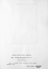 Image Associated With the Occurence